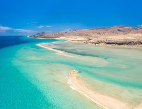 Disfruta Fuerteventura
